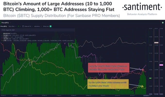 Тренд на накопление биткоинов доминирует с конца мая