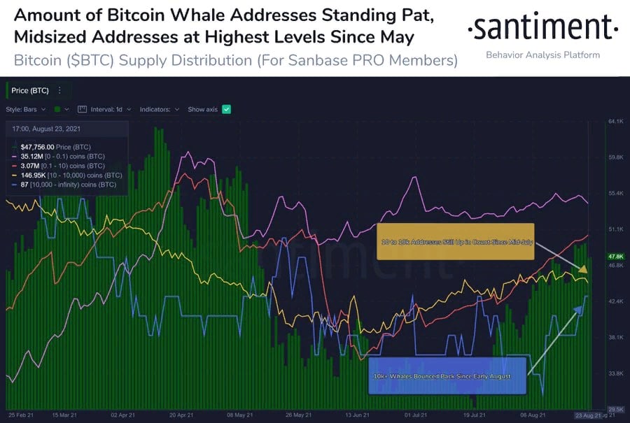 Эфир сдает позиции на фоне притока ETH на биржи