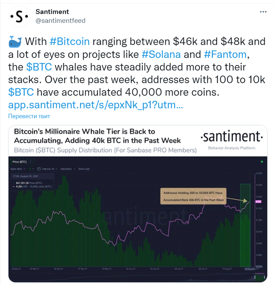 Объем торгов биткоином падает, но китов это не пугает