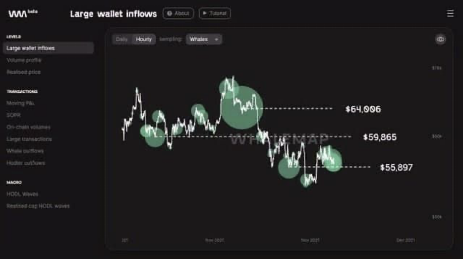 Удастся ли китам вытолкнуть биткоин выше $64 000?