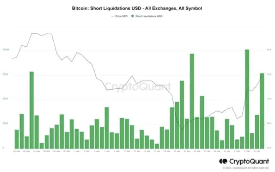 Биржи ликвидировали позиции на $242,5 млн на фон падения биткоина