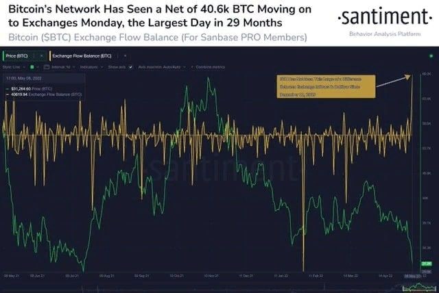 <strong>Биткоин держится выше $31 000: затишье перед бурей?</strong>