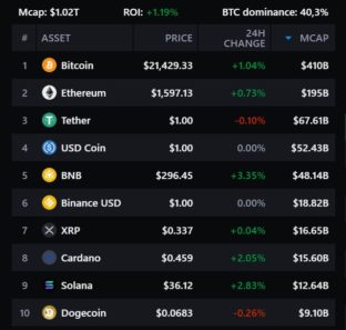 ТОП 10 криптовалют