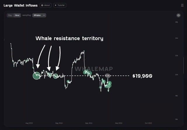 Биткоину китов