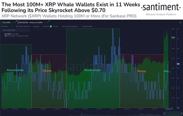 XRP