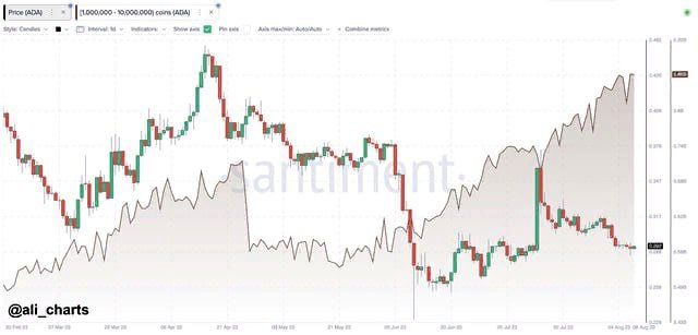 Cardano