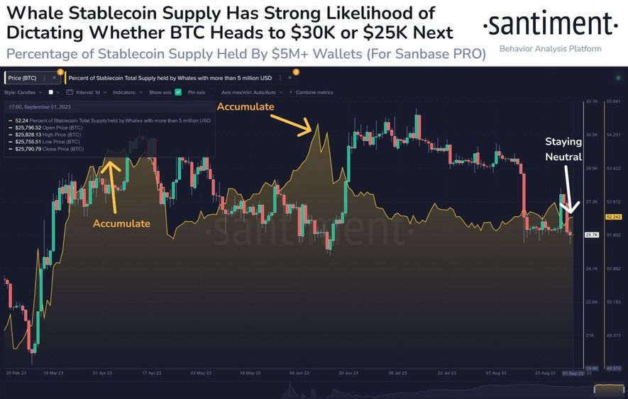 <strong>CryptoУикенд #101: факты, тренды, аналитика</strong>