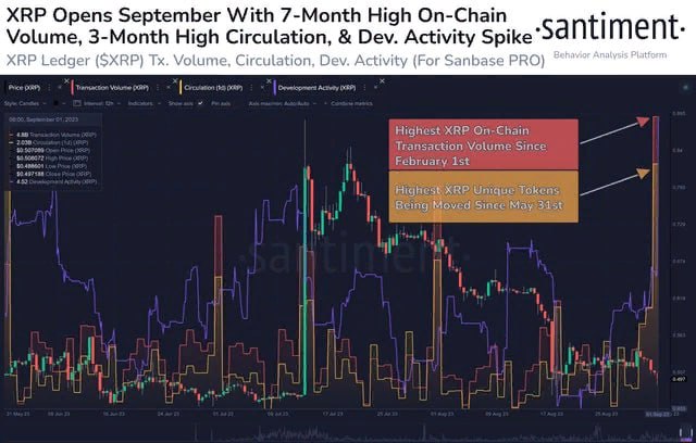 XRP, Ripple