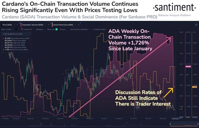 Cardano