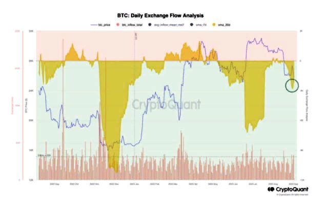 BTC торгов