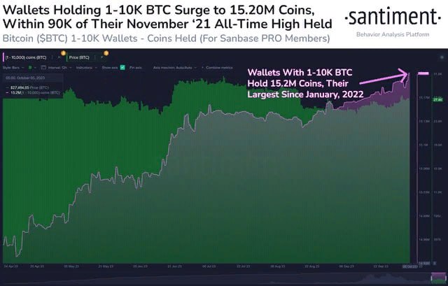 биткоинов