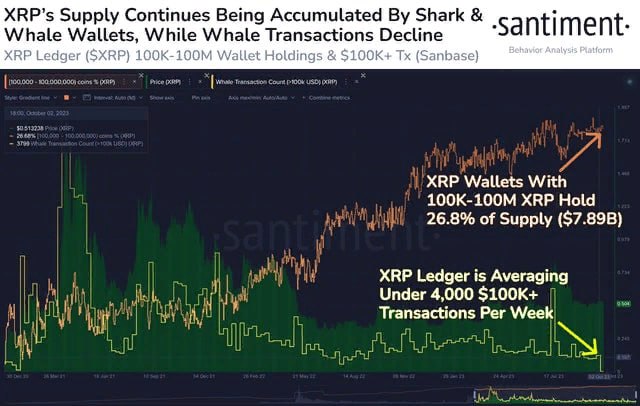 XRP, киты