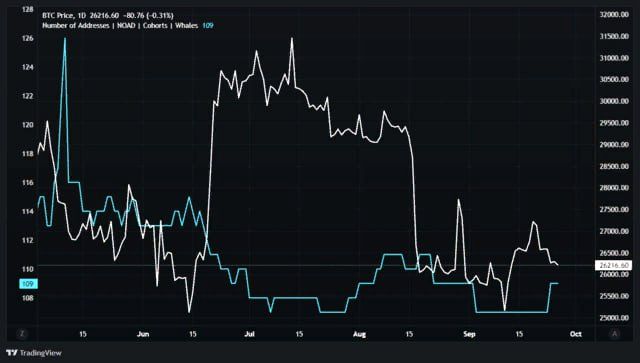 биткоин