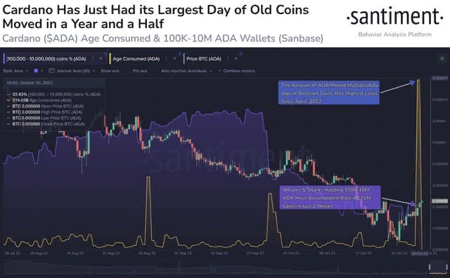 Cardano