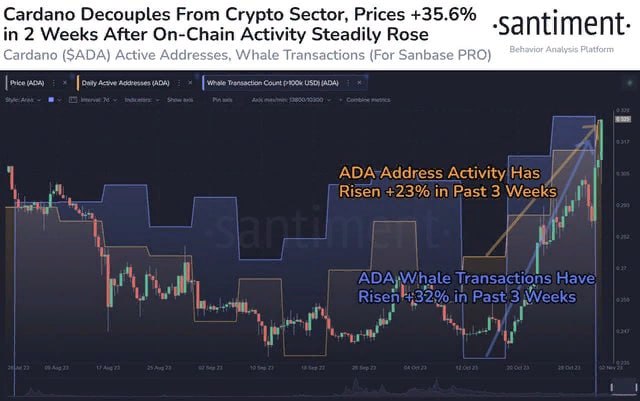 Cardano, ADA