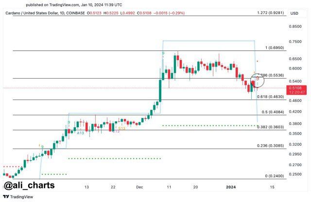 Cardano