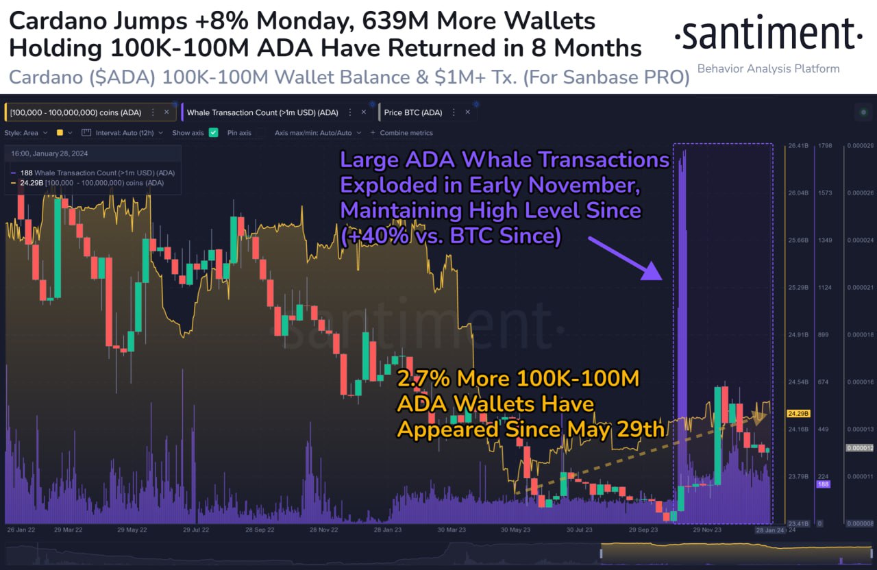 Cardano