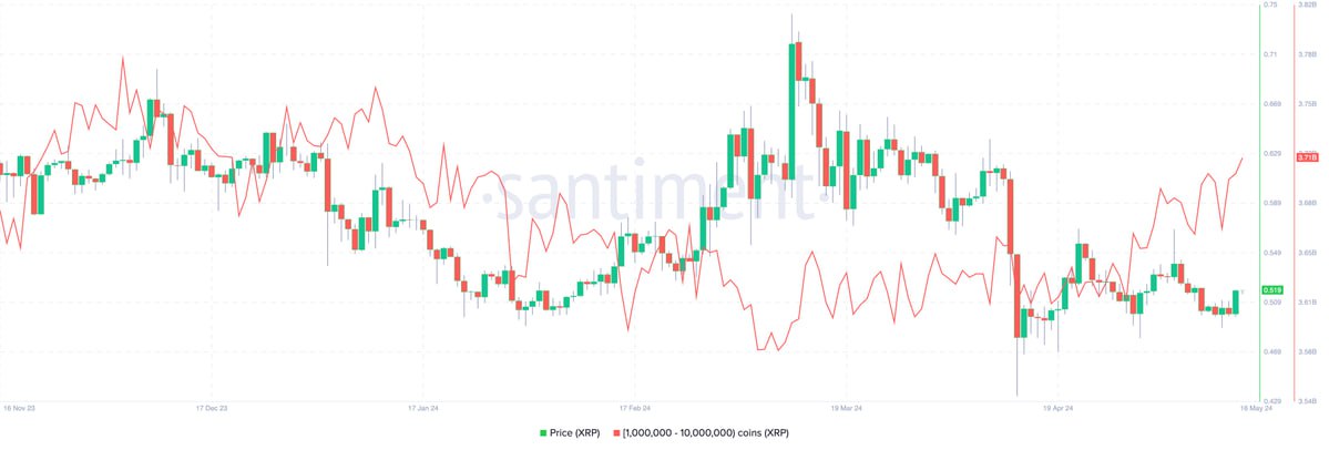 XRP