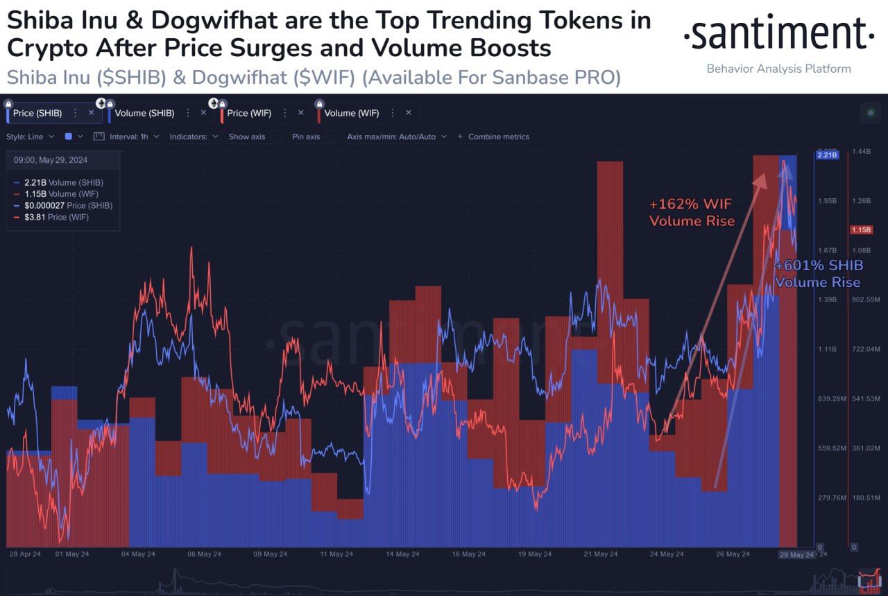 SHIB, Cardano