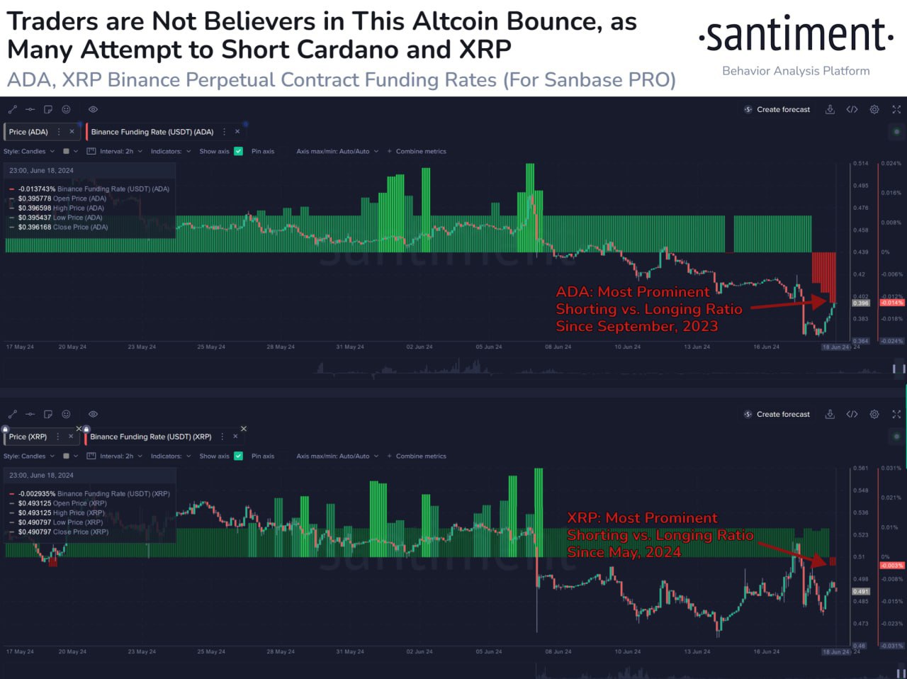 Cardano