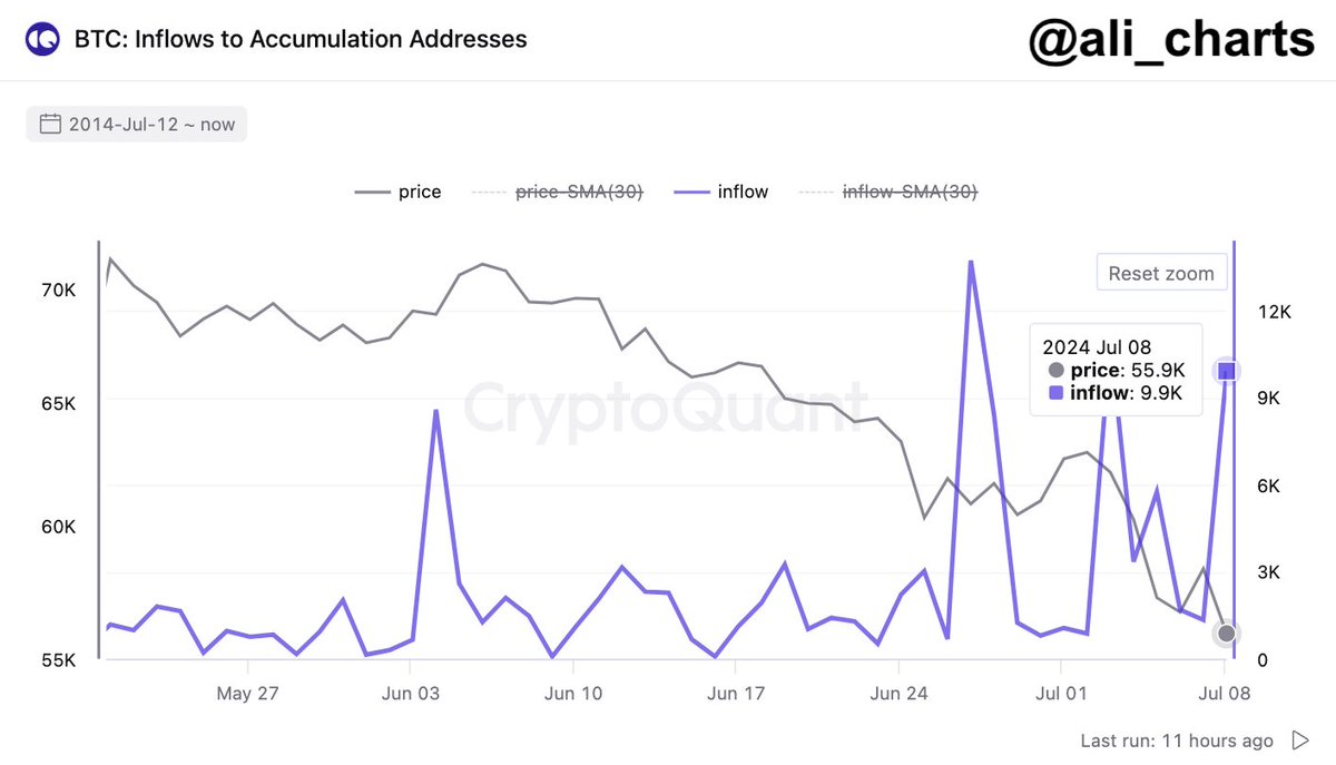 CryptoQuant