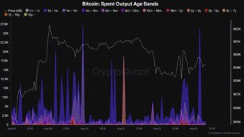 биткоин-кошельков