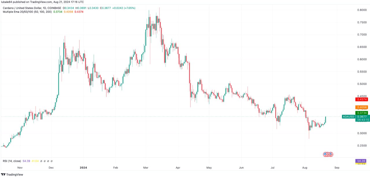 Cardano