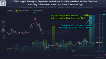 Активность XRP-кошельков выросла до максимума с июля, интерес к фьючерсам усиливается