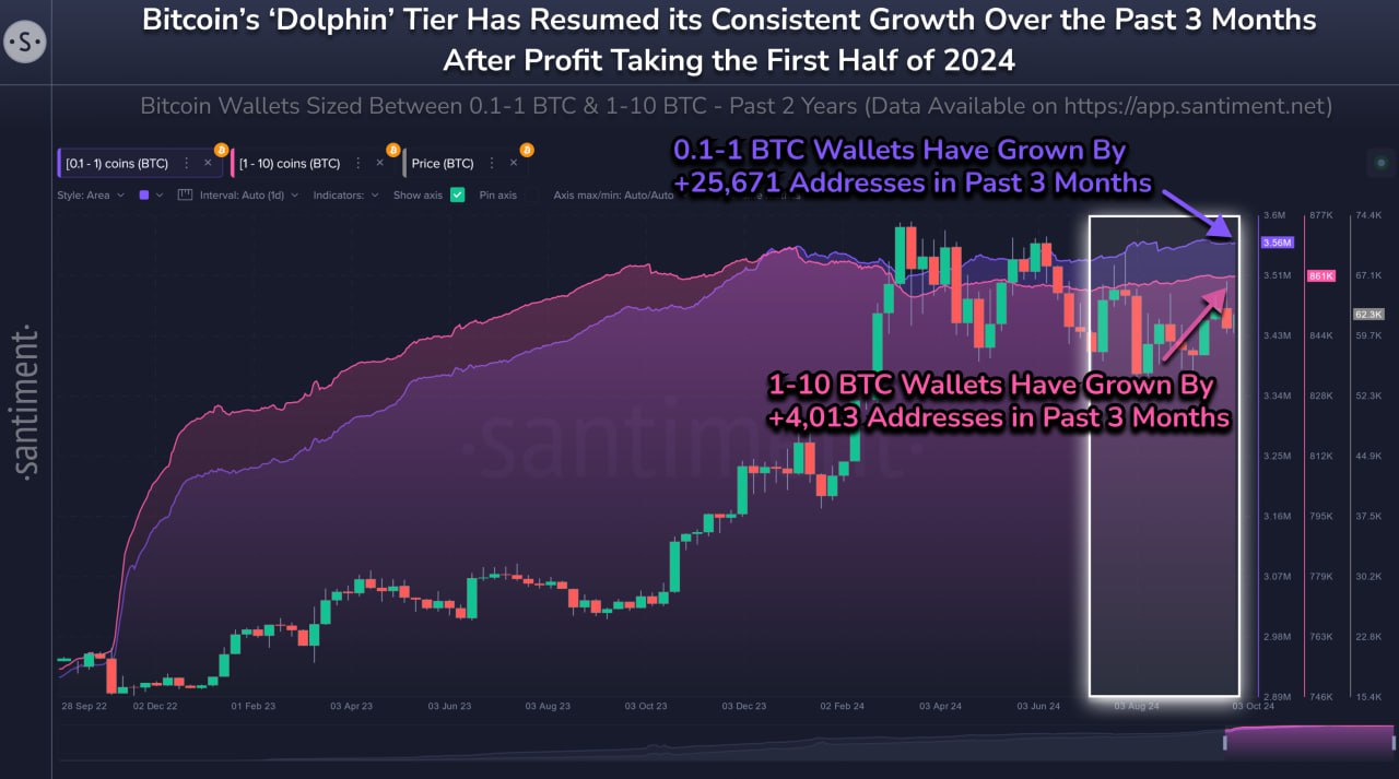 <strong>CryptoУикенд #152: факты, тренды, аналитика</strong>