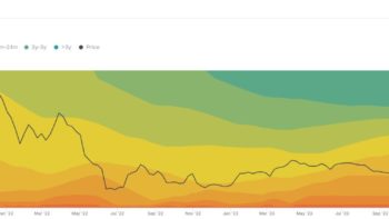 Почти 30% эфира заблокированы в депозитном контракте ETH 2.0 по данным IntoTheBlock.