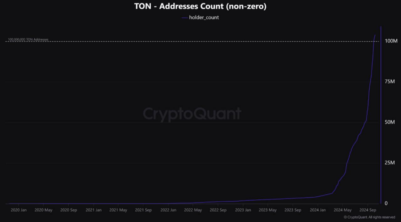 Количество держателей Toncoin впервые превысило 100 млн