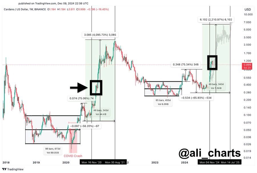 Cardano и ChainLink могут стать бенефициарами декабрьского альтсезона