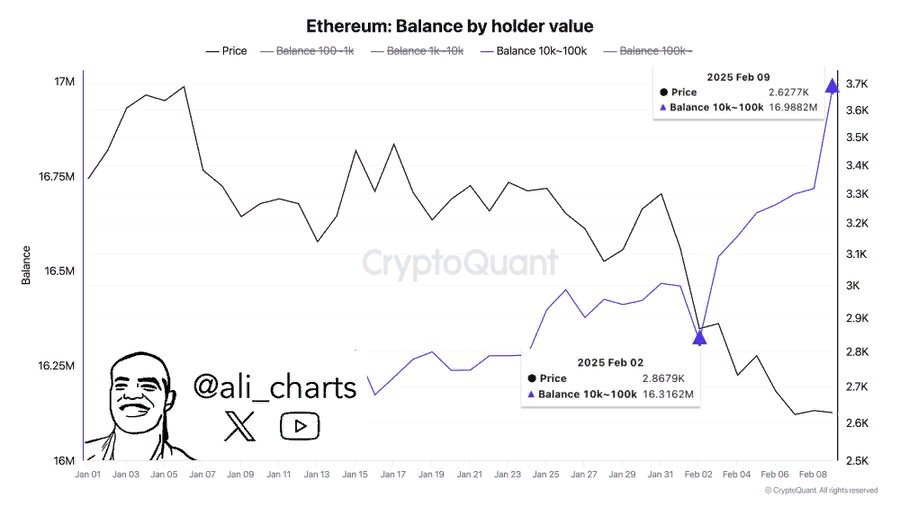 График движения курса Ethereum и китовой активности.